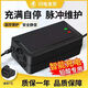 MDNG威天能適用電動(dòng)車(chē)電瓶車(chē)充電器48V12ah32ah38AH45AH60V20AH72伏多型號(hào)適配 48V12AH T型接口