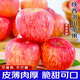 洛川蘋(píng)果延安洛川蘋(píng)果紅富士水果新鮮水果紅蘋(píng)果脆甜多汁整箱陜西特產(chǎn)凈重4.5斤 單果75mm個(gè)大果圓