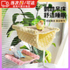 智宙鸚鵡鳥窩吊床懸掛涼席窩鸚鵡軟床掛窩睡覺窩玄鳳虎皮寵物用品玩具 雙層黃色吊床【夏冬兩用】