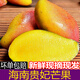 貴妃芒果新鮮熱帶水果現(xiàn)摘當季孕婦水果紅金龍大青辣椒芒 3斤裝大果（單果150-200g）