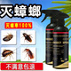 億之康.追風(fēng)滅蟑螂噴霧殺蟲(chóng)劑家用非無(wú)毒全窩端廚房無(wú)味除大小強通殺飯店克星 大小蟑螂通殺傳染滅 2瓶 家庭用
