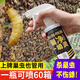 蜂箱老農(nóng)巢蟲(chóng)清蜂箱巢蟲(chóng)凈中蜂白頭蛹棉蟲(chóng)巢蟲(chóng)青木片養(yǎng)蜜蜂工具 巢凈一噴靈300ml 1瓶