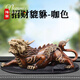 英邁綸純銅貔貅擺件汽車(chē)中控臺飾品男士車(chē)內裝飾品大全車(chē)上擺件 【純銅】貔貅-咖色