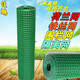 齊翼航荷蘭網(wǎng)護欄網(wǎng)鐵絲網(wǎng)養雞網(wǎng)養殖圍欄網(wǎng)圍墻網(wǎng)鋼絲網(wǎng) 家庭籬笆院墻 30米長(cháng)2米高2.5毫米粗6*6厘米網(wǎng)