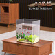 最萌魚(yú)缸新型客廳大號觀(guān)賞魚(yú)外置負壓魚(yú)缸亞克力補水一體成型生態(tài)造景 24*17*28cm【裸缸】