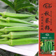壽禾 水果秋葵種子苗冬春盆栽蔬菜種籽 濰育華納比樂(lè )水果秋葵種子10g