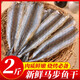 馬步魚新鮮針魚干棒棒魚干無鹽淡干漁家風干魚干燒烤專用飯店同款 250g【約30條】肉質(zhì)鮮嫩