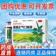 [太極] 藿香正氣水 10ml*10支夏季防暑降溫藥品套裝公司工地三伏天學生軍訓防中暑降溫大禮包套餐 10盒【不含酒精】太極藿香口.服液10支裝