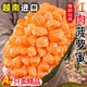 越南黃肉菠蘿蜜新鮮水果波羅紅心菠蘿蜜爆甜一整個(gè)新鮮整箱當(dāng)季 【越南紅】10-12斤特級(jí)A果 JD/順豐快遞送貨上門(mén)