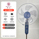 華生電風(fēng)扇落地扇家用輕音搖頭機械定時(shí)臺式立式宿舍工業(yè)大風(fēng)力扇 基礎款-星空灰-16寸-3檔風(fēng)力 推薦