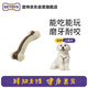 宜特（EETOYS）小號彎骨狗狗玩具吃玩結合磨牙耐咬潔齒棒獨處解悶寵物用品