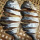 北海特產(chǎn)新曬金昌魚干咸魚干深海金鯧魚干海鮮干貨風(fēng)干 金鯧500g（約2-3條）