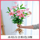愛(ài)你一萬(wàn)年水培植物香水百合花盆栽帶花苞室內(nèi)好養(yǎng)客廳陽(yáng)臺(tái)花卉水養(yǎng)四季開(kāi)花 【帶花帶根好養(yǎng)】粉色香水百合【3顆】+營(yíng)養(yǎng)液
