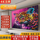 4K 王牌2025新款超高清電視機 顯示家用彩電智能網(wǎng)絡(luò )WiFi智能語(yǔ)音平板巨幕防爆客廳酒店批發(fā)監控顯示器 85LED【超清網(wǎng)絡(luò )版】十年質(zhì)保