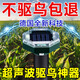2025新型驅鳥(niǎo)神器太陽(yáng)能超聲波趕鳥(niǎo)嚇鳥(niǎo)農田果園魚(yú)塘家用陽(yáng)臺防鳥(niǎo) 一只裝【插翅難逃】