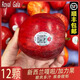 果坊情新西蘭加力果 當(dāng)季新鮮水果 嘎啦蘋果 gala果 姬娜果進(jìn)口蘋果高檔 12枚 單果100g+