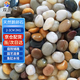 雙游鵝卵石魚缸造景多肉盆栽魚缸綠植裝飾2-3cm 2kg SYY-270-3.8
