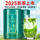 一杯香茶葉明前頭芽云霧綠茶250g2025新茶高山春茶禮盒裝自己喝日照足