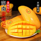 探味君 海南金煌芒 新鮮當(dāng)季水果 現(xiàn)摘現(xiàn)發(fā)大果熱帶水仙甜心芒果 生鮮 凈重4.5-4.99斤【單果140-250g】
