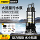 揚子排污泵污水泵農用化糞池抽糞沼氣家用潛水泵抽水泵220V無(wú)堵塞 排污370W/1寸【10米線(xiàn)+10米管】