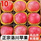 陜西洛川高山紅富士蘋(píng)果10斤 應季水果新鮮脆甜多汁產(chǎn)地整箱現摘 帶箱9-10斤 大果