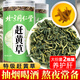 內(nèi)廷上用北京同仁堂趕黃草特級官方四川古藺中藥材熬夜養(yǎng)肝護(hù)肝養(yǎng)生茶2罐