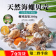 廬播 天然貝殼海螺魚缸造景裝飾小擺件水族箱布景套裝龜缸底砂裝飾品 中號(hào)螺貝混裝200g（約30-40顆）