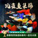 云峰海瑞小型熱帶魚觀賞魚孔雀魚雜袍孔雀魚天空藍(lán)活體活魚紅扇血紅 孔雀魚隨機(jī)一對（一公一母）