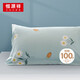 恒源祥100全棉枕套單只裝抗菌純棉枕頭套單人48x74cm枕芯套男加大家用