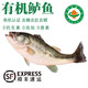 【有機淡水魚(yú)】生態(tài)河鮮 三去鮮活速凍 南都湖生鮮魚(yú)類(lèi)海鮮水產(chǎn) 【有機鱸魚(yú)】500g/袋 1袋【嘗鮮裝】