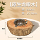 瘋狂水草龍眼木烏龜曬臺爬臺曬背臺龜缸木樁造景沉木擺件躲避養龜專(zhuān)用休息 中水位丨適合大龜【寬15-20cm】