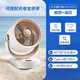 艾美特（AIRMATE） 家用空氣循環(huán)扇電風(fēng)扇遙控預(yù)定時(shí)渦輪對(duì)流風(fēng)扇臺(tái)式桌面辦公室大風(fēng)力學(xué)生臺(tái)扇 金色直流遙控款（戶外可用充電寶）