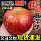 糖心丑蘋果 10斤當(dāng)季高山新鮮水果正宗糖心脆甜紅富士萍果整箱包 丑蘋果-帶箱9-10斤-小果