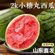 京地達西瓜山東糖丸小西瓜 凈重8斤單果1000g+新鮮手撕2K小西瓜源頭直發(fā)
