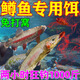 魚(yú)誘鱒魚(yú)餌料專(zhuān)用主攻虹鱒三文魚(yú)神餌顆粒強力誘魚(yú)劑路亞野釣血蠶蟲(chóng)餌 一瓶【入水瘋搶 三秒上魚(yú)】