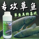 釣草魚(yú)專(zhuān)用小藥草魚(yú)餌料黑坑配方野釣泡玉米專(zhuān)攻大草魚(yú)誘魚(yú)添加劑 高能草魚(yú)寶