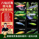 云峰海瑞熱帶魚 觀賞魚 觀賞魚小型 斑馬魚 活體 熱帶魚活體 小型魚 活魚 八仙過海 斑馬魚A套餐 （8條）