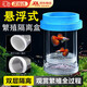 句可 孔雀魚繁殖盒漂浮魚缸隔離盒小魚魚苗孵化盒母魚產房魚缸孵化器 藍色【大號套裝】 【漂浮式繁殖隔離盒-高清透亮】