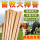 八戒棒香畜牧養(yǎng)殖場(chǎng)蚊香棒獸用艾草蚊香豬場(chǎng)專用蚊香非蒼蠅香戶外野外強(qiáng)力 黃色1.2米艾葉普通蚊香 40根