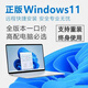 正版windows11專業(yè)版原版純凈重裝10家庭簡體中文pro蘋果mac筆記本雙系統(tǒng)M2芯片U盤遠(yuǎn)程 win11/10專業(yè)版-在線遠(yuǎn)程安裝