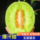 琪江果山東玉菇甜瓜 冰淇淋口感應(yīng)季新鮮水果整箱 凈重7-7.5斤2-5個(gè)玉菇甜瓜