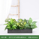 綠道Greenway仿真綠植造景花箱假花組合擺設景觀(guān)戶(hù)外植物盆栽隔斷室內裝飾陽(yáng)臺 A60-2