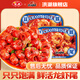 洪湖誘惑麻辣即食蝦尾252g/盒*8盒夜宵美食特產(chǎn)龍蝦尾小龍蝦生鮮小龍蝦尾 蒜蓉蝦尾252g/盒*8盒