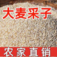 鹽城特產(chǎn)五谷雜糧大麥采子粗糧大麥糝子大麥采子大麥米 中粒 5斤