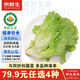 京鮮生&聽(tīng)蔬 山東 有機生菜1斤凈重 綠葉紫葉/羅馬生菜隨機沙拉源頭直發(fā)