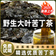 正宗貴州特產(chǎn)苦丁茶2025新茶余慶大葉苦丁野生毛冬青清熱解暑散裝 500克【經(jīng)濟實(shí)惠】