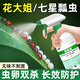 九品祥花大姐殺蟲(chóng)劑殺七星瓢蟲(chóng)藥花園庭院驅除花大姐消滅噴瓢蟲(chóng)家用噴劑