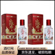 水井坊小水井 小酒版 52度 100ml 濃香型白酒 100mL 2瓶