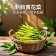 維桑黃花菜新鮮 順豐冷鏈 特色菜現摘金針菜 時令蔬菜 涼拌土特產 2斤