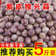 云南獨(dú)頭蒜大果獨(dú)蒜頭干蒜頭新大蒜獨(dú)蒜頭出口級精品級特大果 5斤 凈重4.8斤 40mm及以上 超大果王